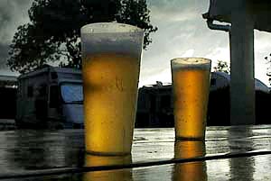 cervezas