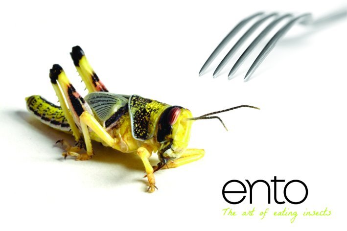 Ento Ento