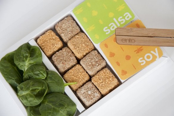 Alimentos con insectos