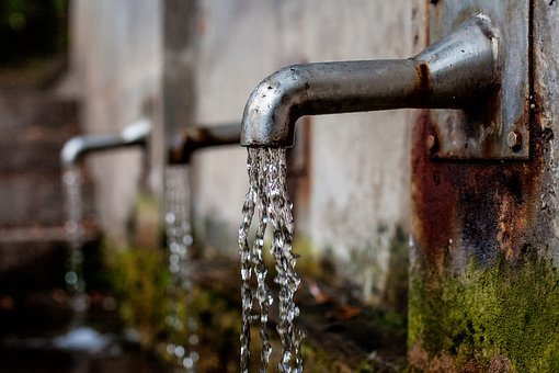 grifo-agua