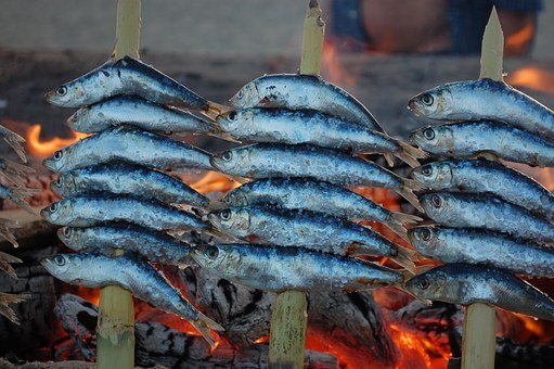 sardinas