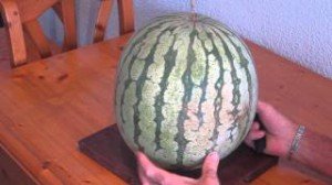sandia