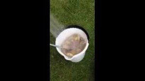Vídeo truco para pelar patatas rápidamente